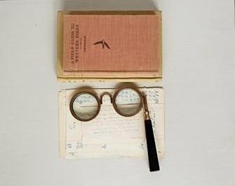 Brass Spectacles